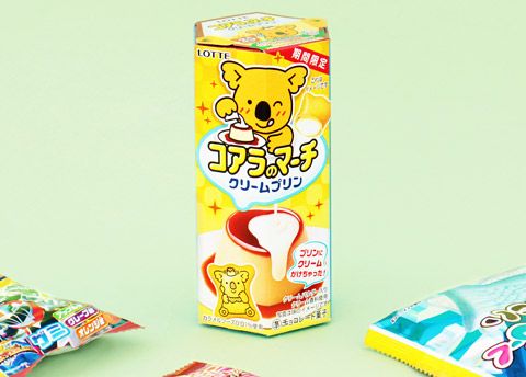 Lotte Koala’s March Cookies - Cream Pudding