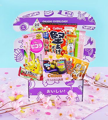 Japan Candy Box – Monthly Tokyo Treats & Fun Japanese Snacks