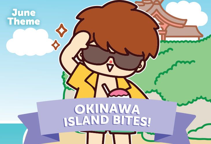Get a Japanese subscription box